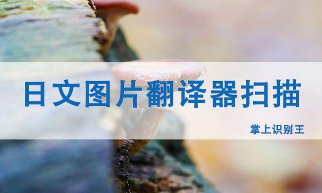 日文圖片翻譯器有用嗎?如何日文漫畫掃描成中文?