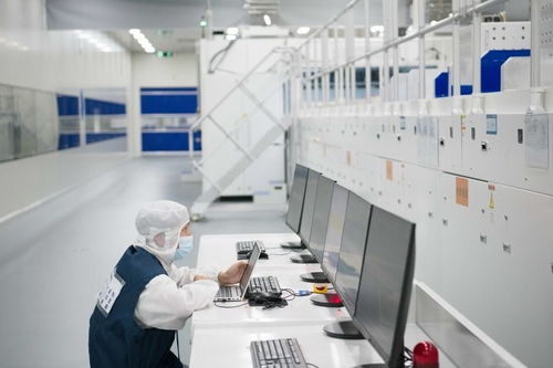 中國(guó)經(jīng)濟(jì)樣本觀察 企業(yè)樣本篇 追光逐新 光伏獨(dú)角獸華晟新能源的成長(zhǎng)故事