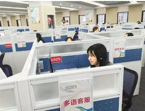 14個語種近300名翻譯 g20峰會多語服務平臺96020將上線