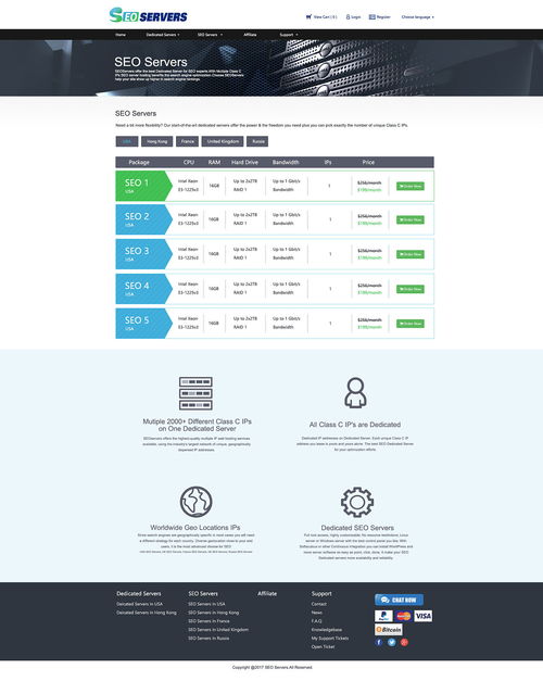 北京翻譯SEO服務器網站效果圖賞析 專業、高效與優化的完美結合